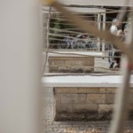 (c) Juliane Großmann