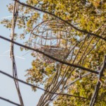 (c) Juliane Großmann